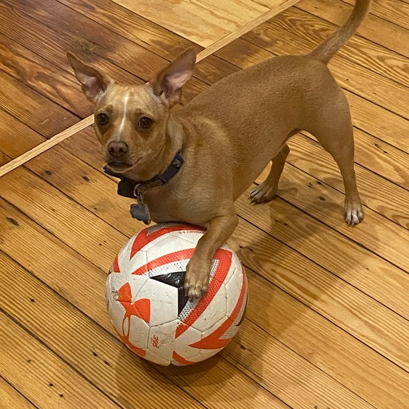 Share Show October 18 at 12:00pm EST - Picture 2 of 8